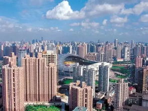 定了 上海這7個區被國家點名了,即將大爆發,未來發展不可限量